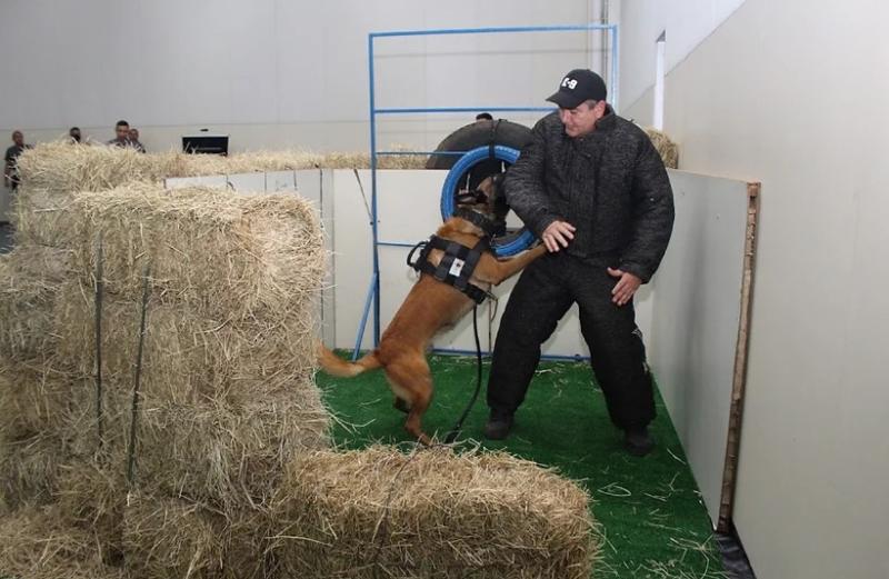 Evento contará com Torneio de Cães Policiais