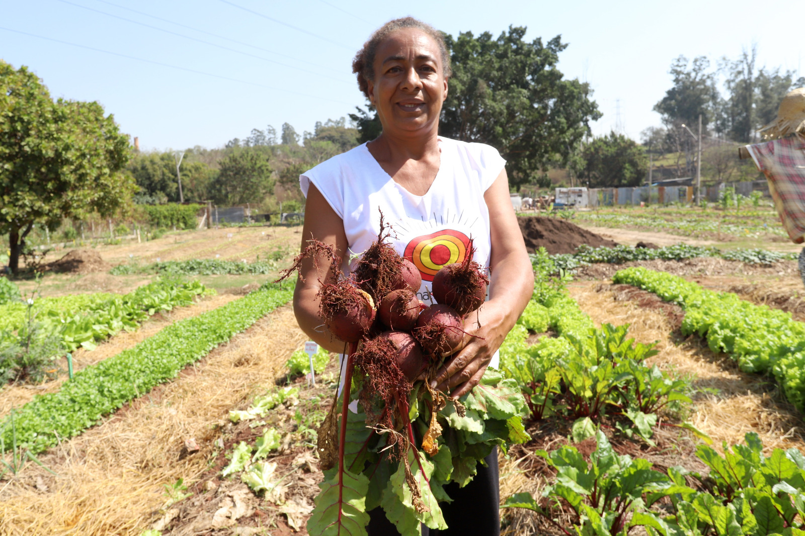 A professora aposentada Eva Soares da Silva encontrou seu lugar: “amo mexer com a terra”