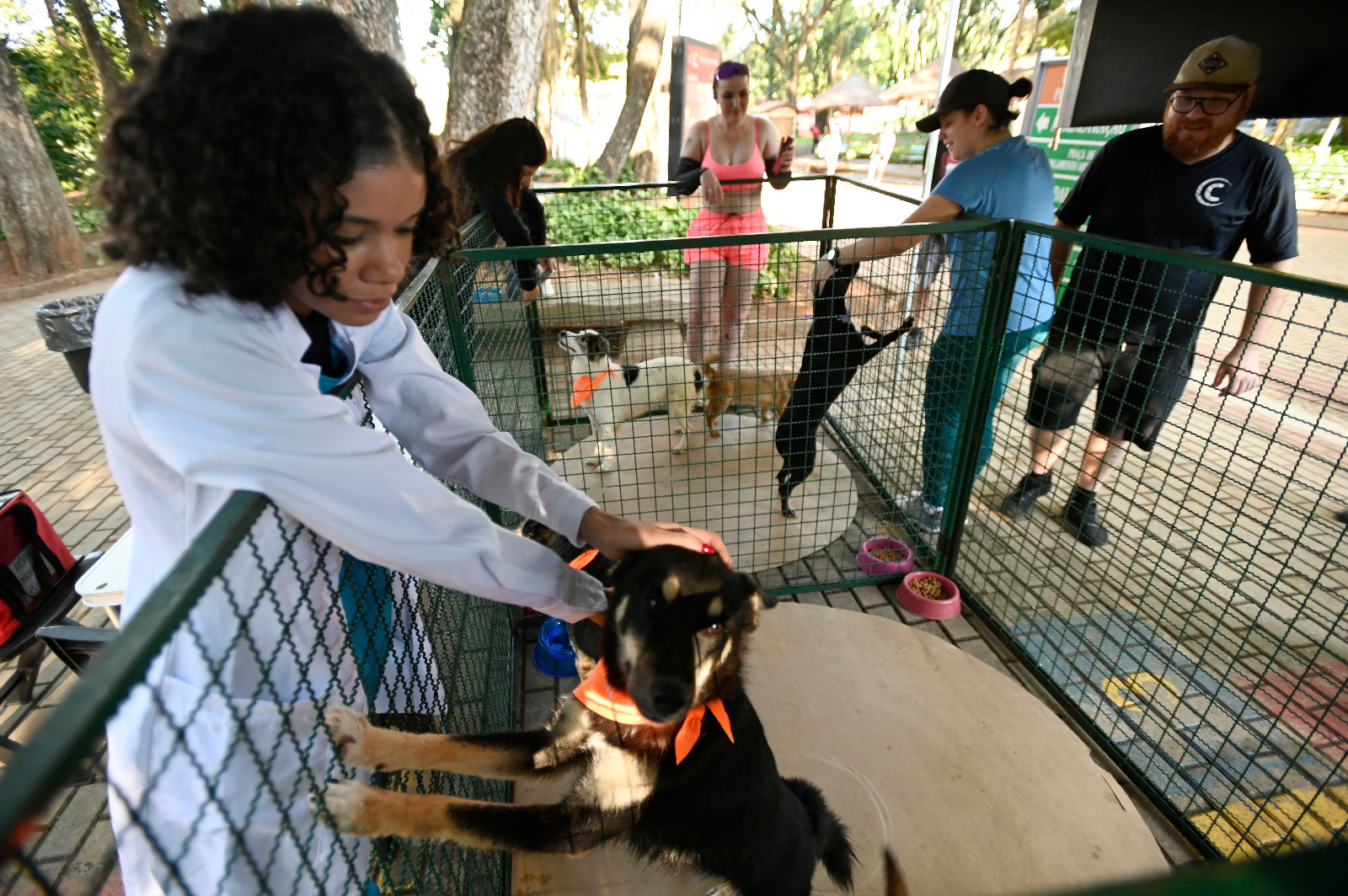 Feira ofereceu microchipagem gratuita, em parceria com a Medicina Veterinária da PUC