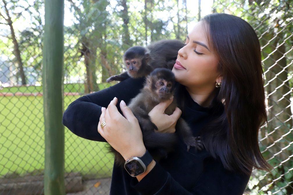 A veterinária do Bosque dos Jequitibás, Bianca Mendes, interage com os filhotes