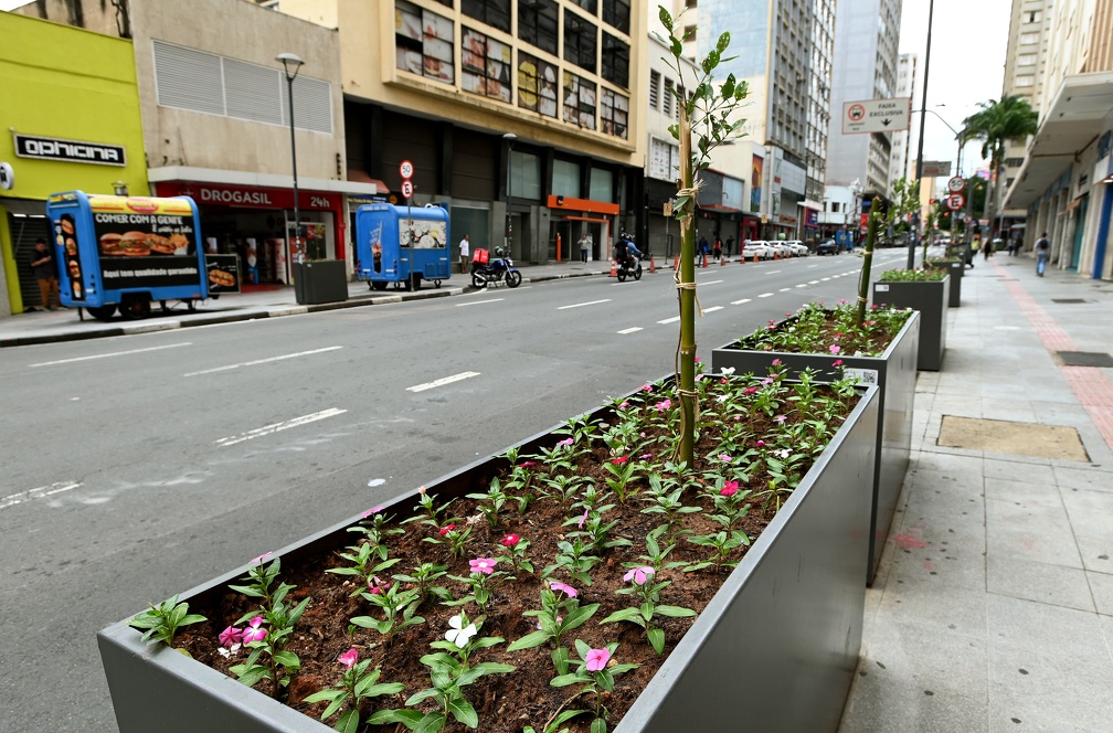 As floreiras foram preparadas com adubo orgânico produzido na Usina Verde da Prefeitura