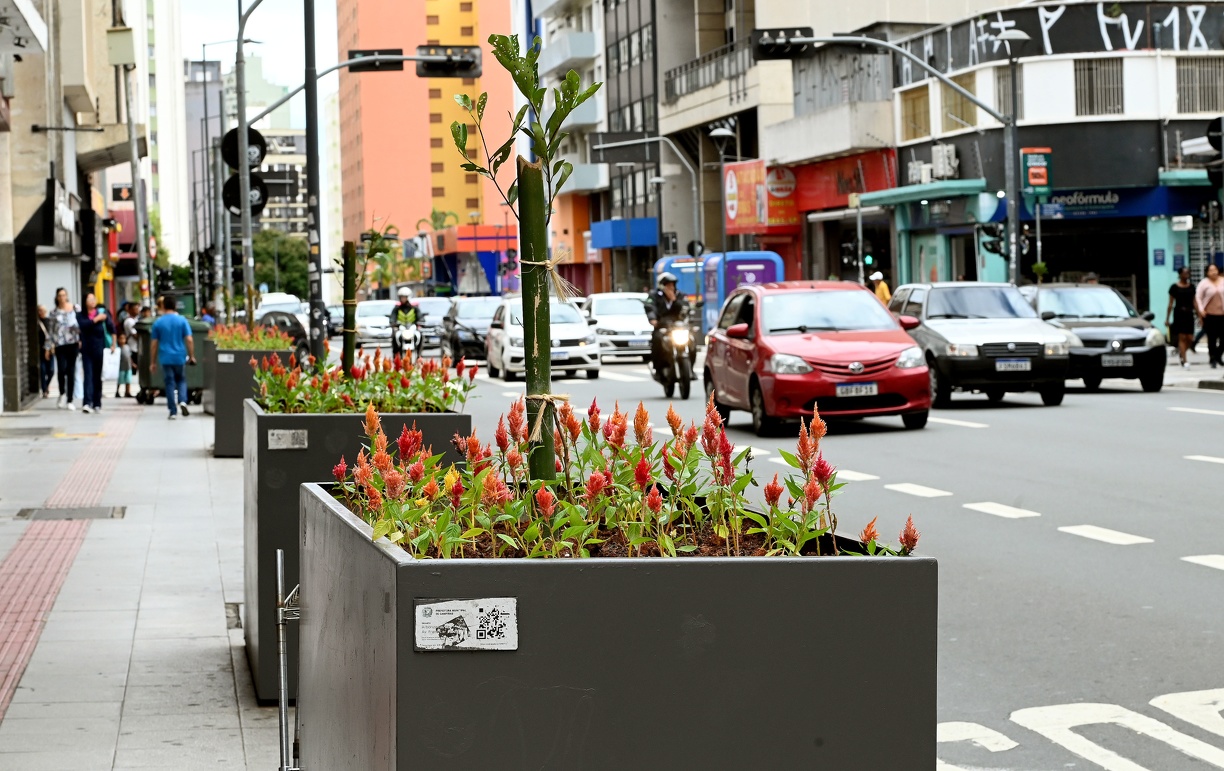 As espécies de flores escolhidas são resistentes e ideais para cultivo a pleno sol