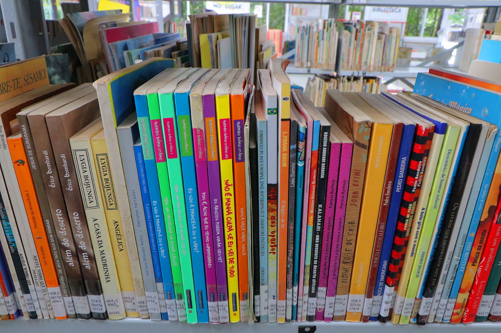 O acervo reúne títulos de literatura infantil clássica e contemporânea, com opções para diferentes faixas etárias