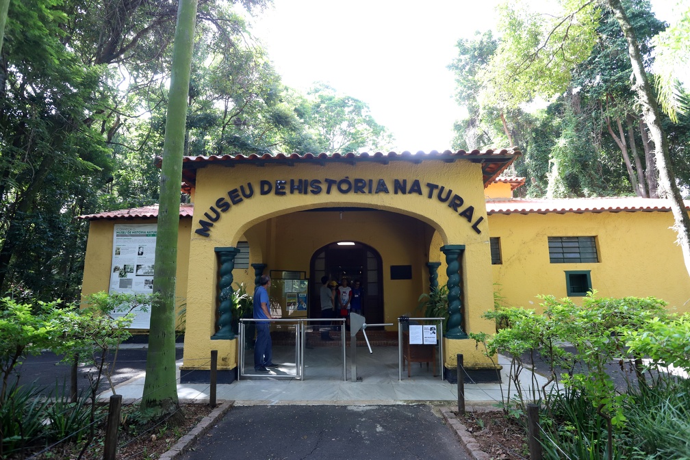 Além do acervo do museu, o ingresso dá acesso ao Aquário Municipal e à Casa dos Animais Interessantes, tornando a experiência ainda mais completa dentro do Bosque dos Jequitibás.