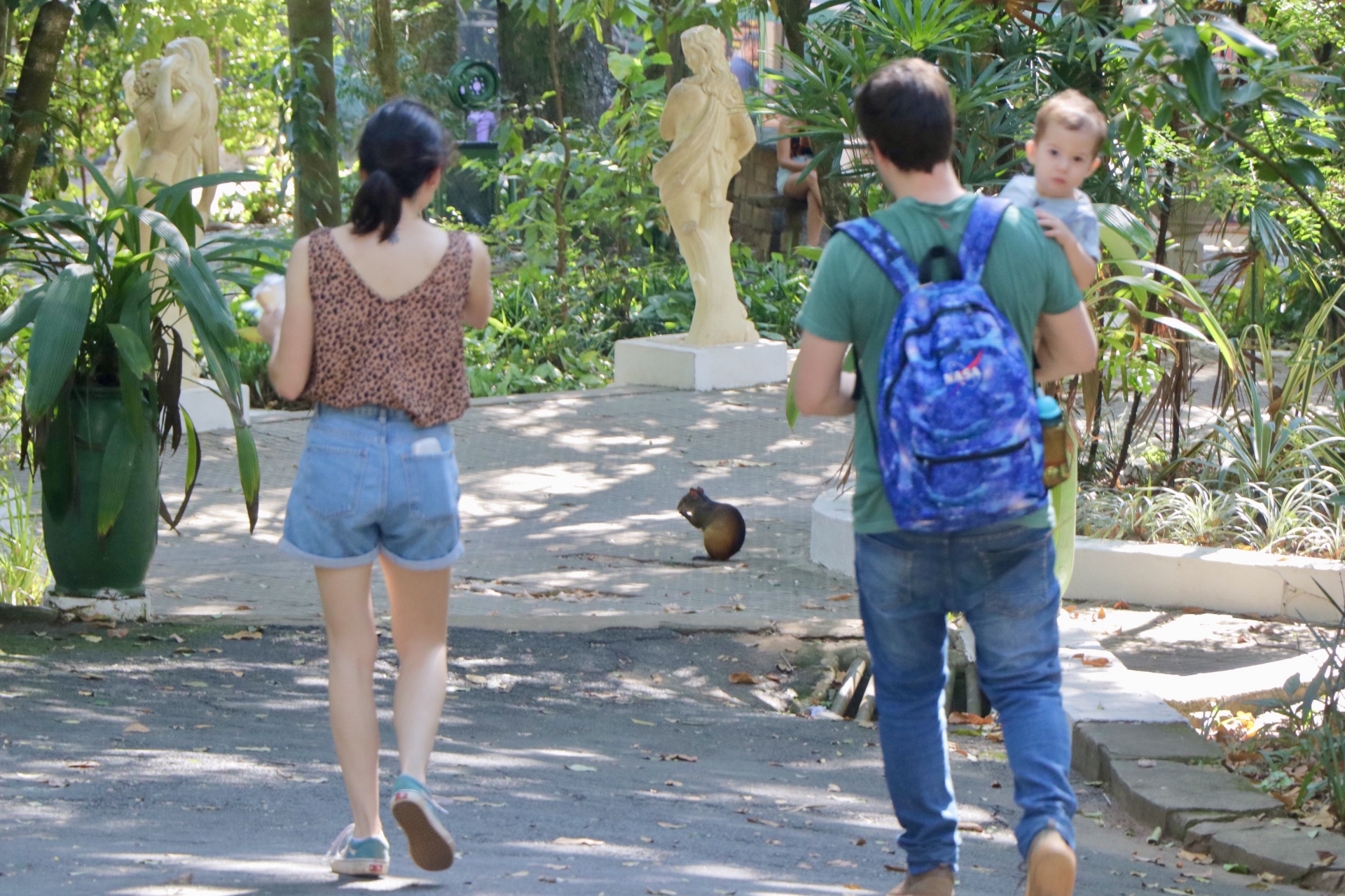 Os bosques e parques da cidade abrem normalmente e são boas opções de lazer para o feriado 