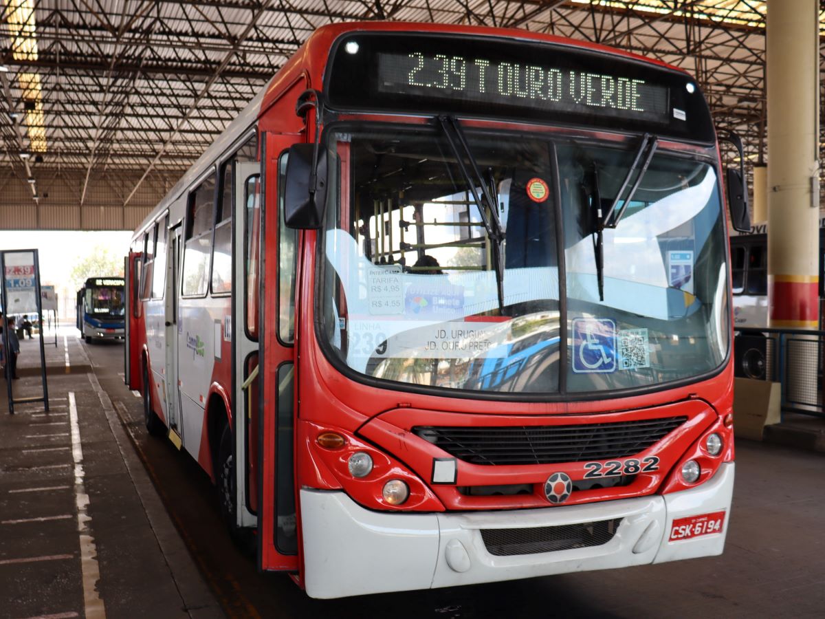 Linha 239 faz a ligação entre o Terminal Ouro Verde e os bairros Jardim Ouro Preto, Jardim Uruguai e Jardim Ipaussurama, na região do Corredor Campo Grande