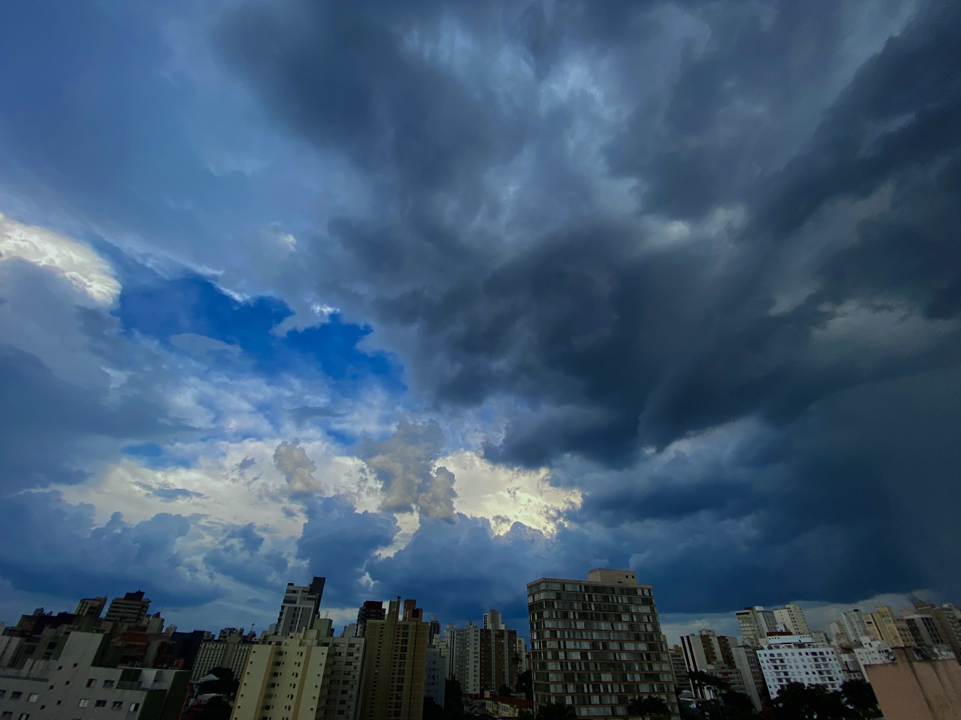 Arquivo PMC A nota A- no CDP Cities 2024 reforça Campinas como referência em ação climática local e reflete os avanços promovidos com o Plano Local de Ação Climática lançado em 2024