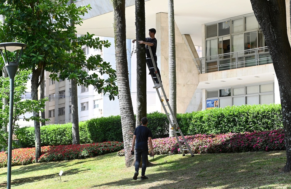 Montagem das luzes de Natal começou a ser feita nesta quinta-feira, pelo Paço Municipal