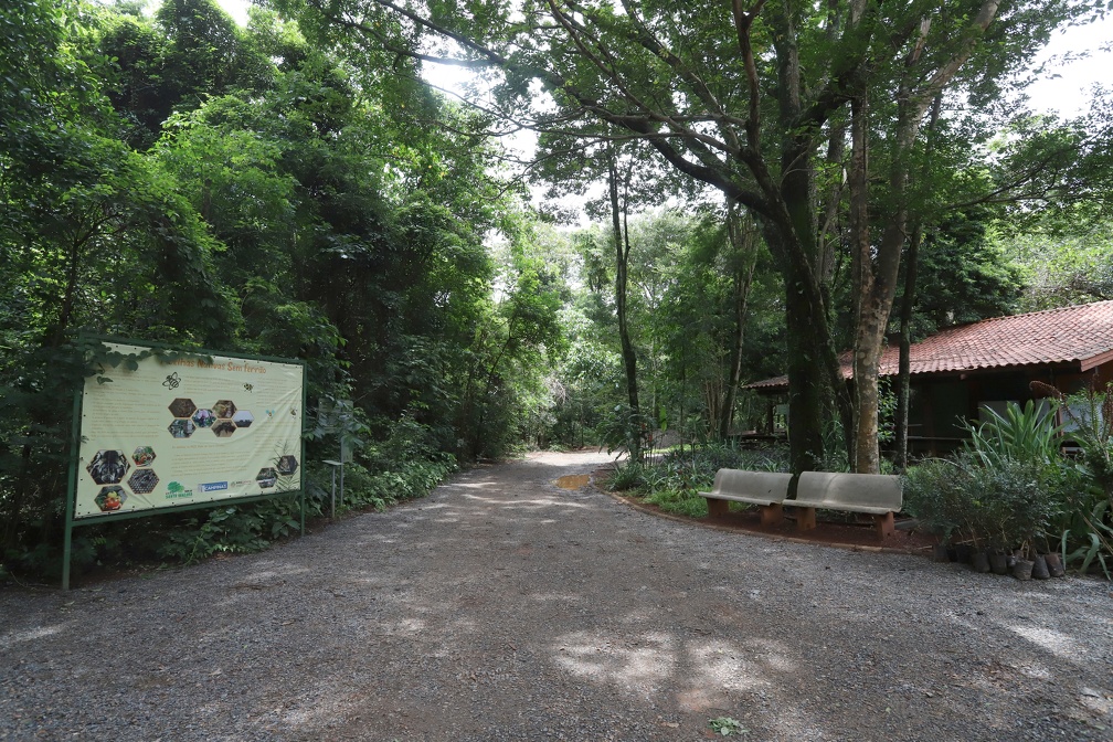 Fernanda Sunega/Arquivo PMC Mata de Santa Genebra será o próximo destino do projeto Tour Campinas; passeio será no dia 15 de junho