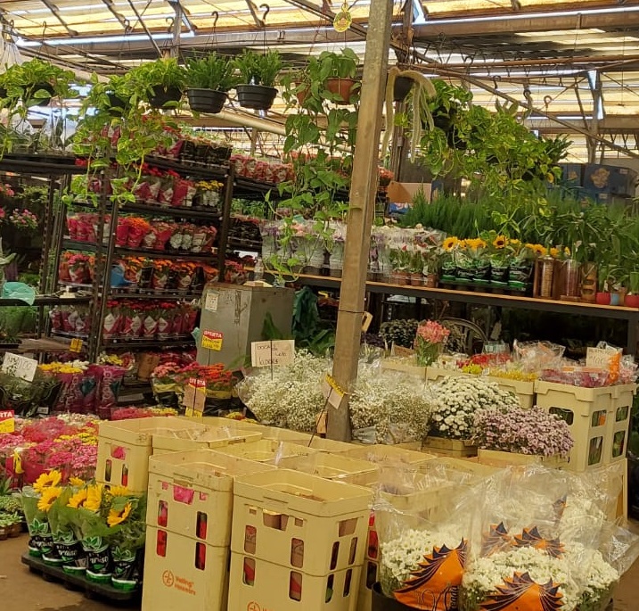 Mercado de Flores abrirá no feriado de 15 de novembro e no sábado, dia 16, das 8h às 13h