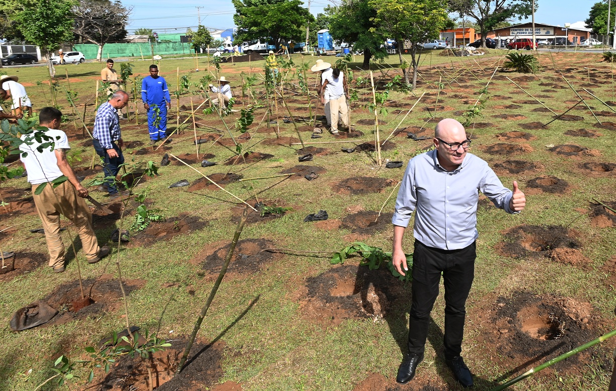 Carlos Bassan Prefeito Dário Saadi acompanhou o início do plantio das mudas na manhã desta sexta-feira