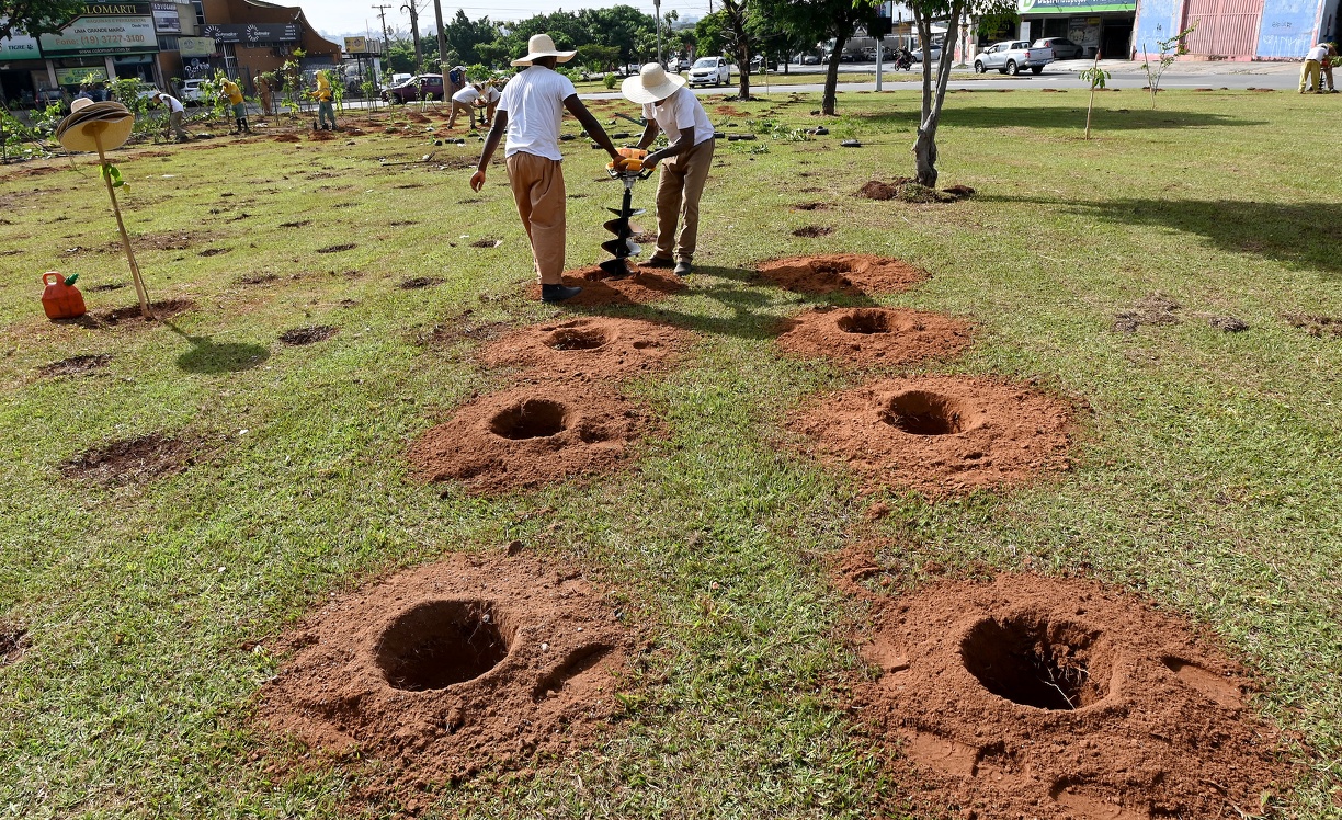 Carlos Bassan Equipe de Serviços Públicos abre 'berços' para o plantio das árvores