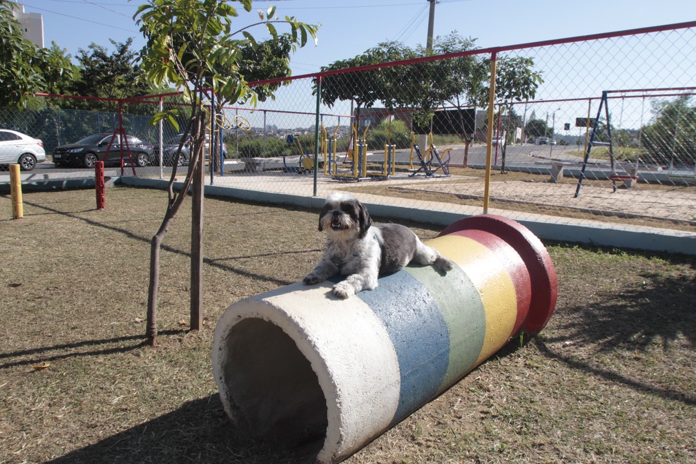 Manoel de Brito Parcão no Jd. Icaraí amplia lista de parques para cachorros na metrópole