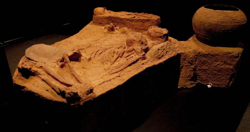 Equipe percorreu sítios arqueológicos e paleontológicos importantes para o País