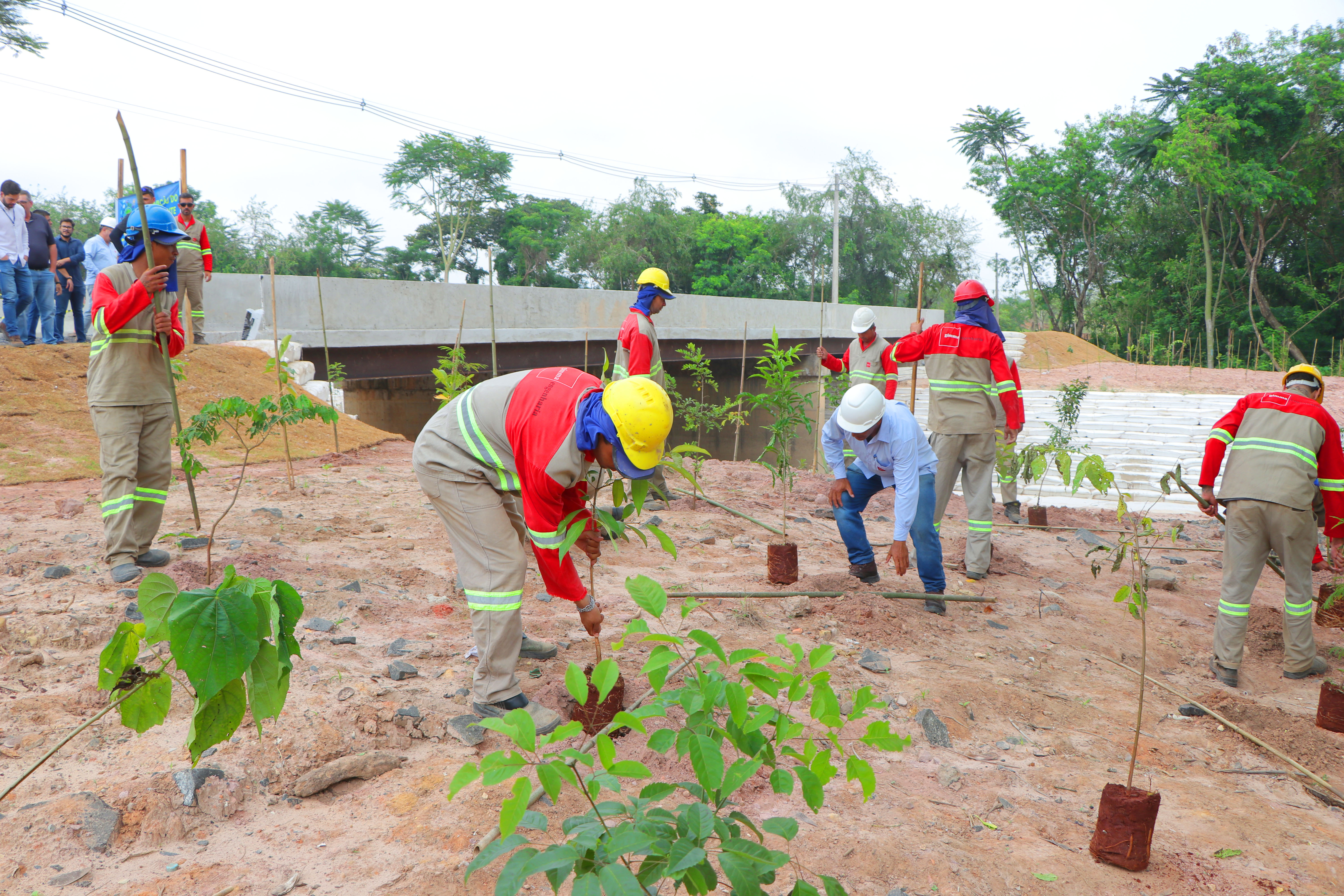 Arquivo PMC/Firmino Piton Plantio de árvores também é realizado em obras, como nas laterais da ponte da estrada que liga Campinas a Monte Mor