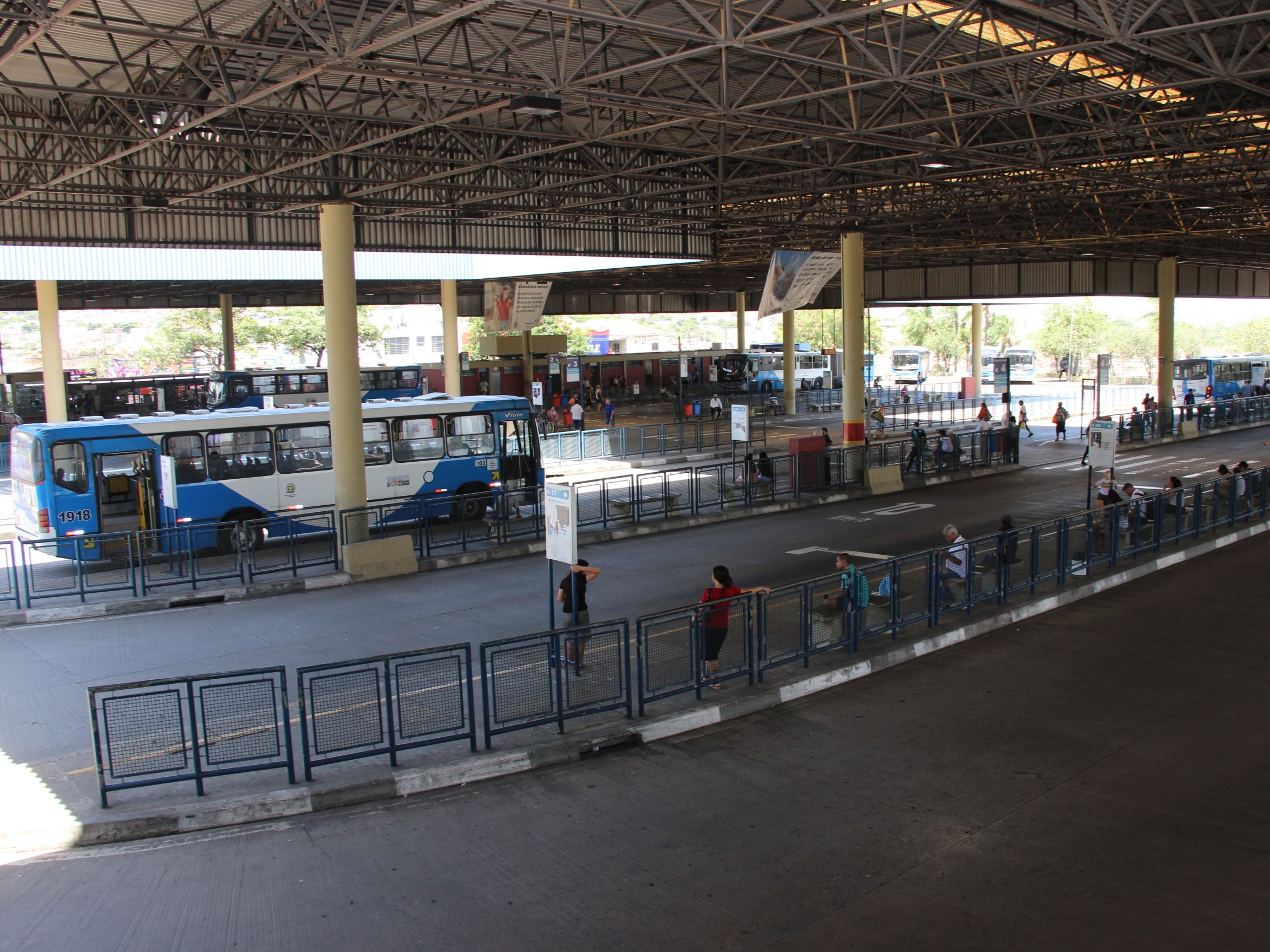 Linha terá função alimentadora e partirá do Terminal Ouro Verde