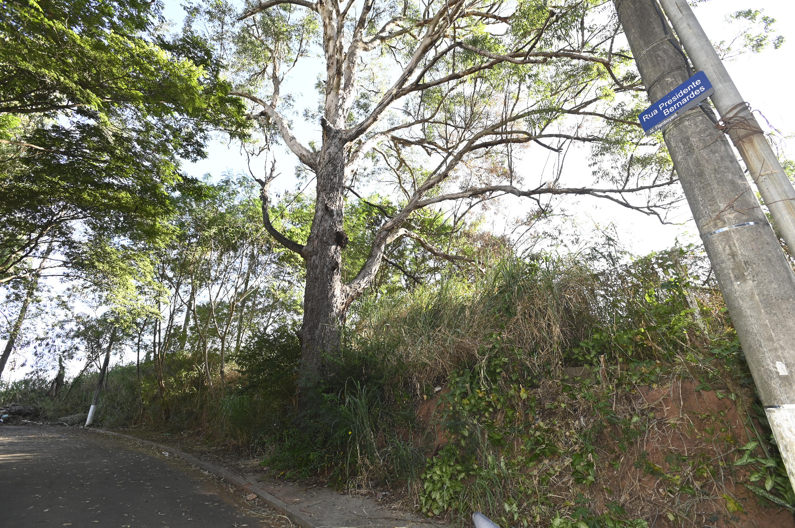 Área de terreno do CS com fundo para rua Presidente Bernardes, no Jardim Paineiras