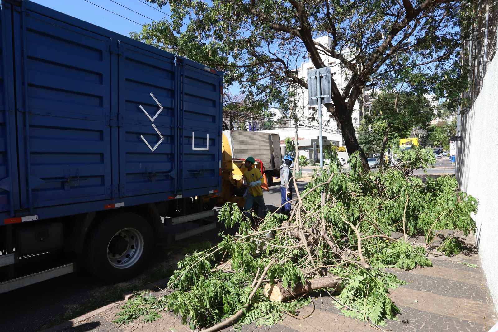 No final de semana, caíram 52 árvores na cidade 