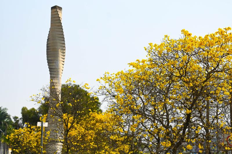 No BRT Campo Grande foram plantadas 3,2 mil mudas