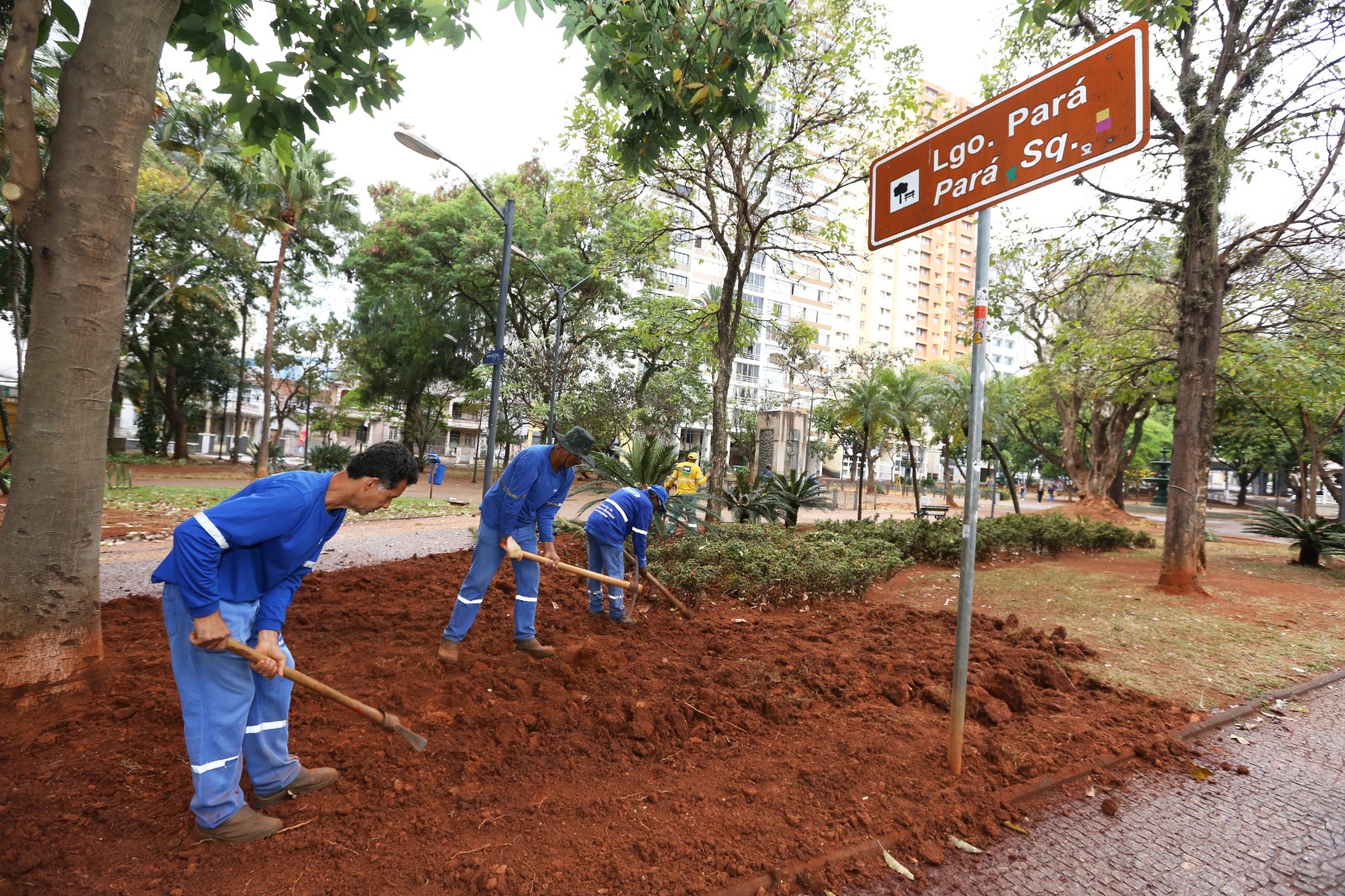 Equipes trabalham na renovação do paisagismo 