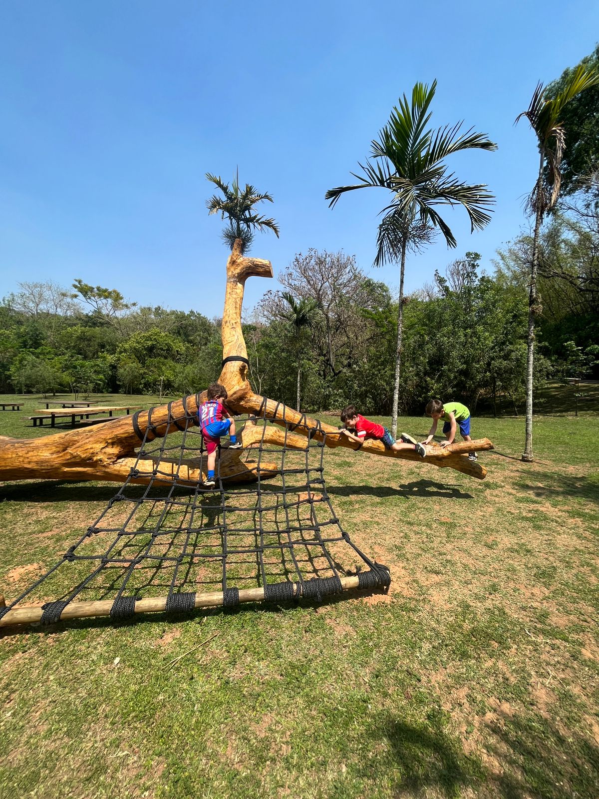 A intenção agora é viabilizar uma grade ao redor desses brinquedos