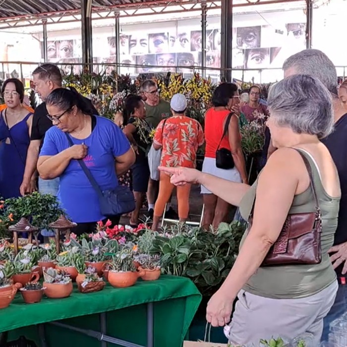 Público apaixonado por orquídeas deve passar pela Estação Cultura