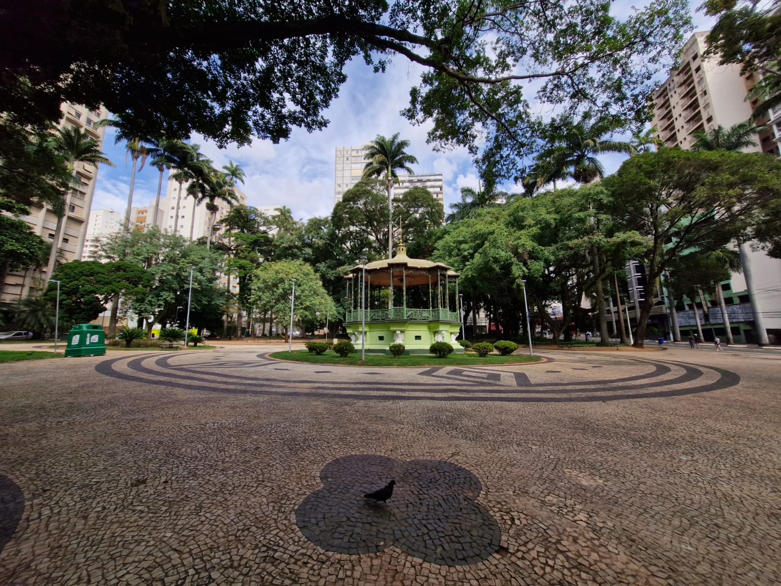 Adriano Rosa Praça Carlos Gomes, no Centro: Campinas é destaque em mapeamento do IBGE sobre arborização urbana