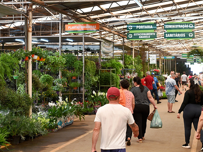 Mercado de Flores espera público maior a partir de quinta 