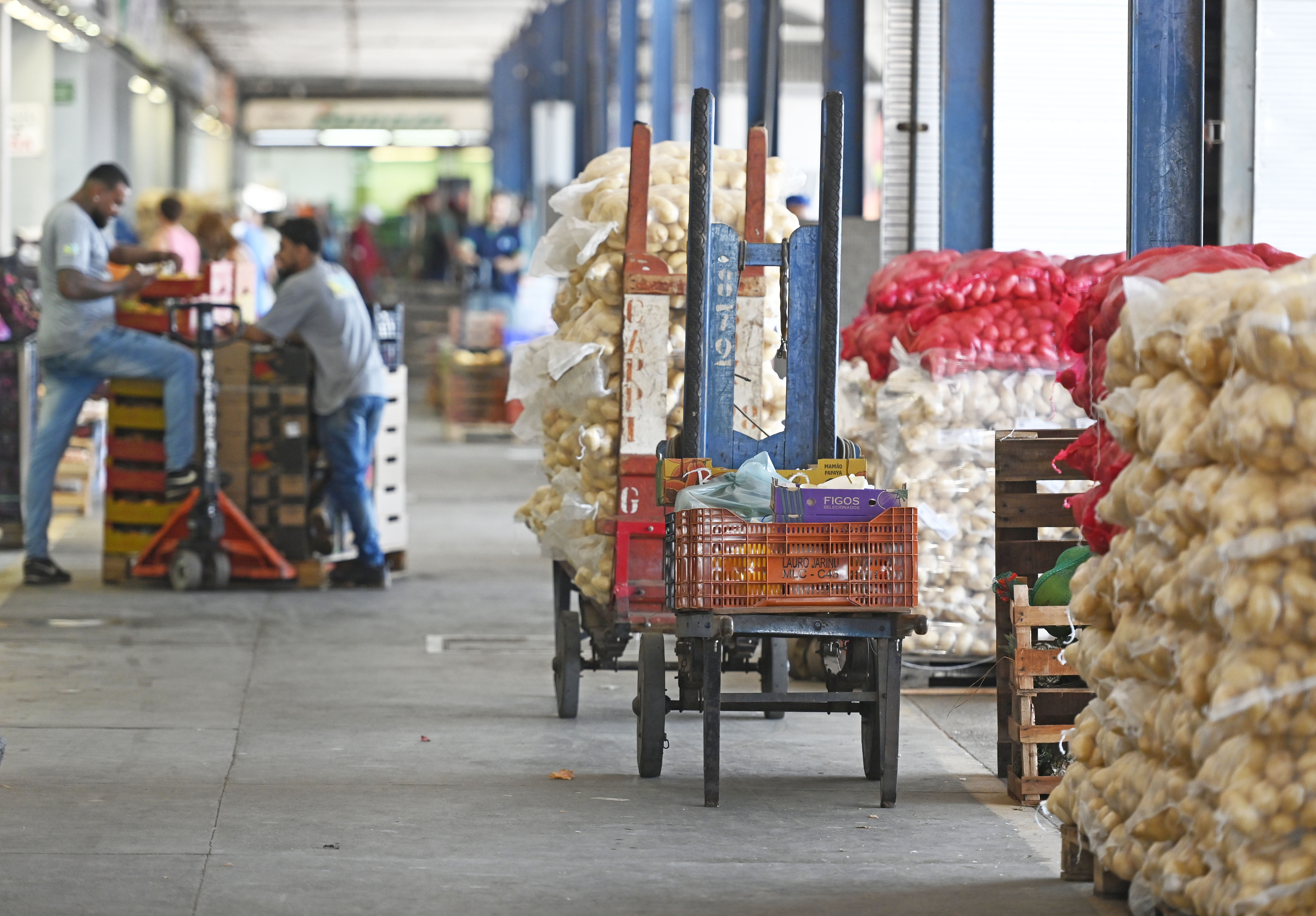 São 54 mil ton. de hortifrútis movimentados/mês