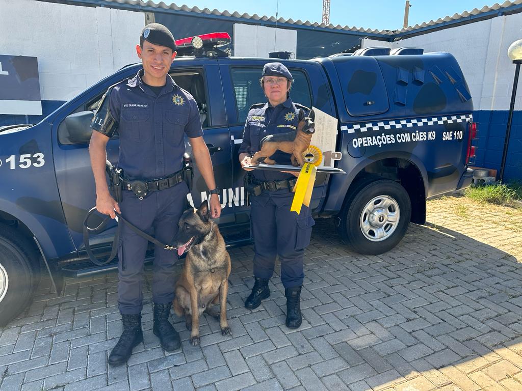 Animais da guarda atuam em operações de faro