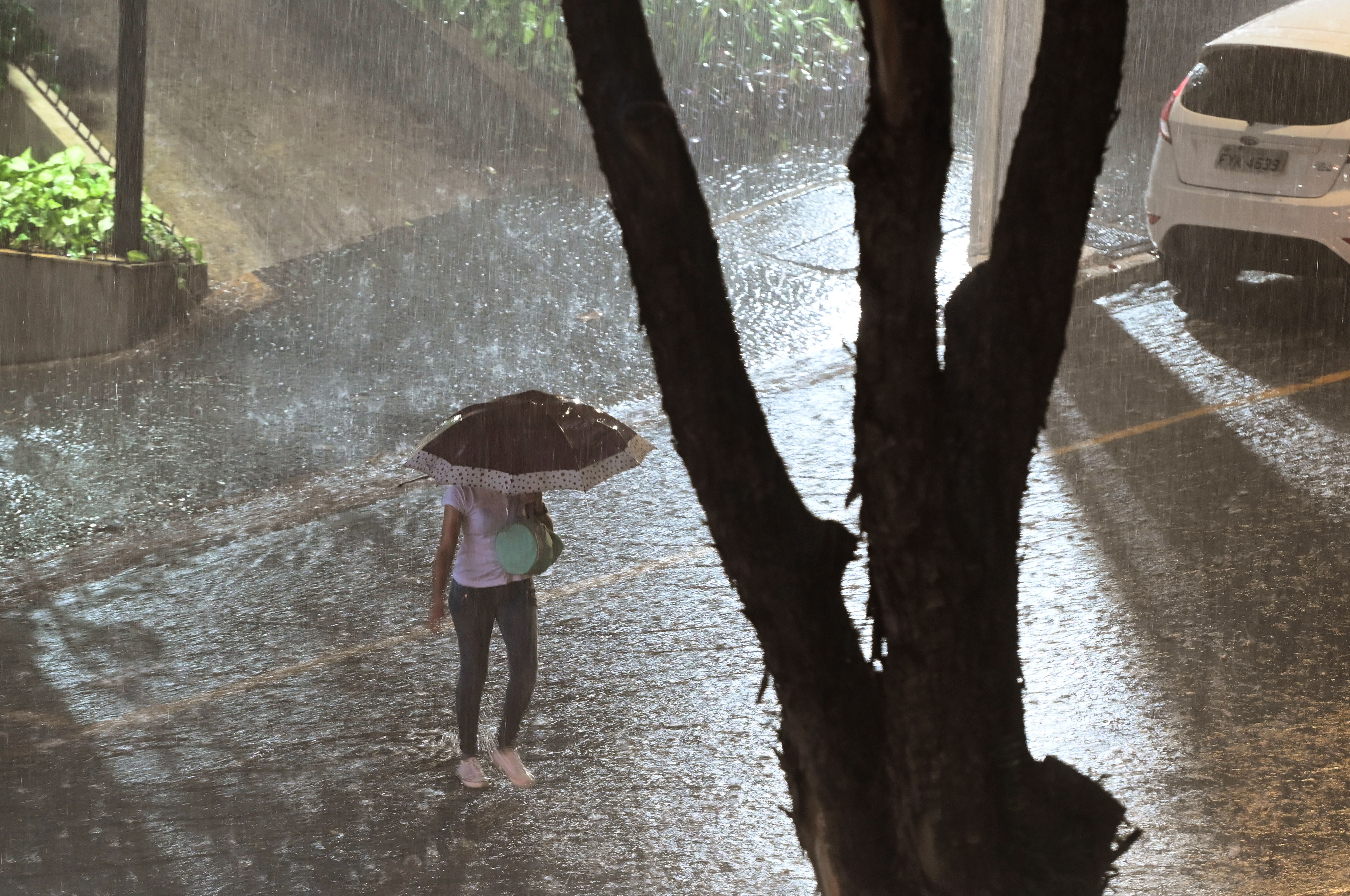 Vista da Rua Barreto Leme, no Centro, durante a chuva da noite desta terça-feira, 28