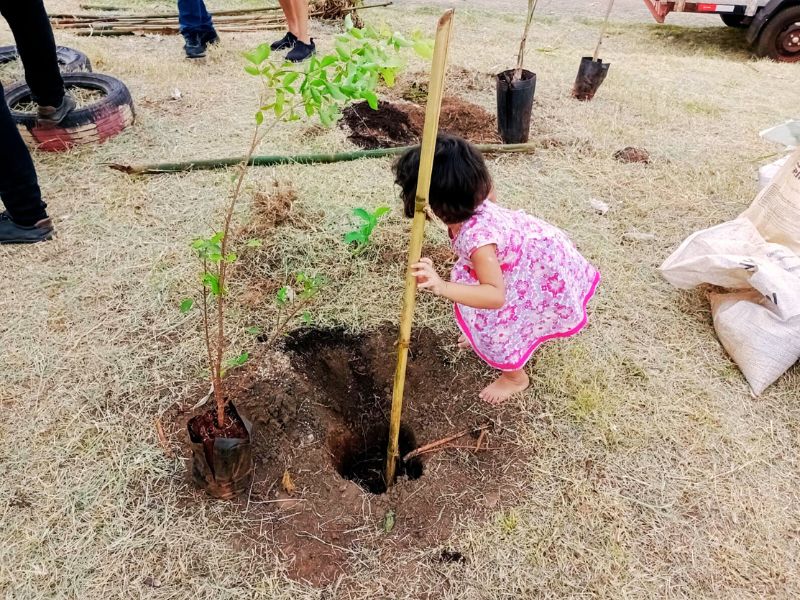 Na quinta-feira, 23 de novembro, foram plantadas 50 mudas de árvores frutíferas típicas do Cerrado