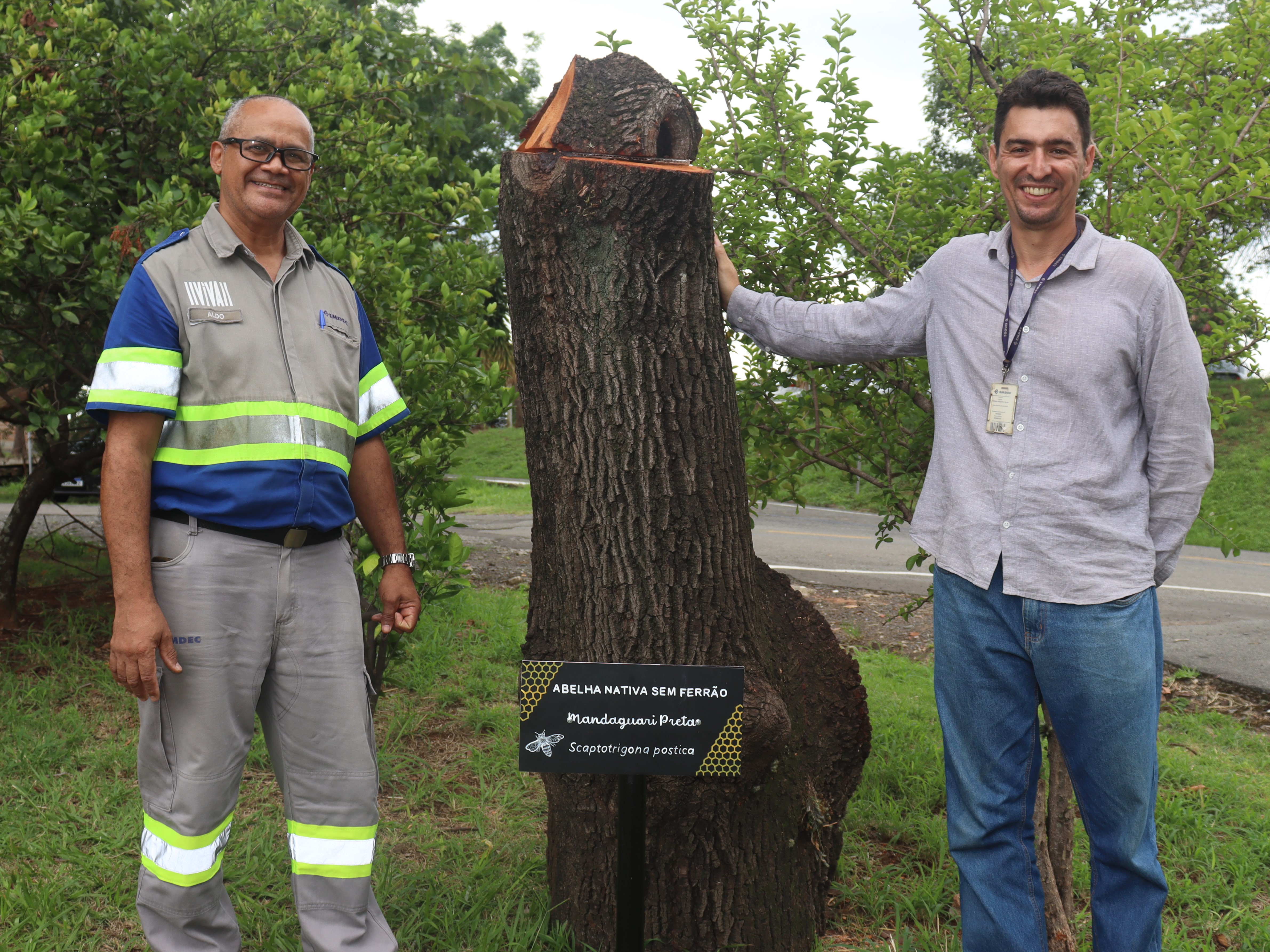 Aldo Aristides e Nelson Ayres resgataram a colmeia