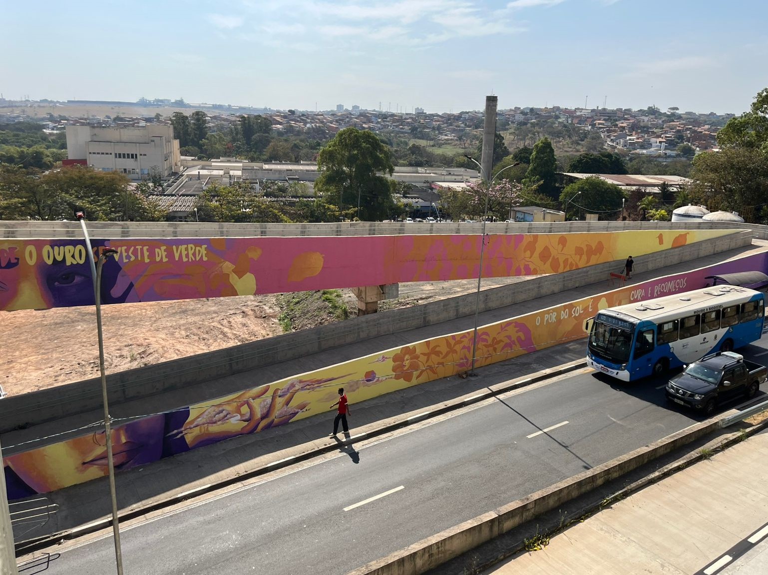 Obras de Gim Martins, Nihao e Vida do Valle Canova transformam passarela e muros do terminal
