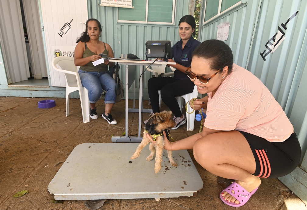 Rogério Capela/PMC Os Consultórios Veterinários Móveis de Campinas funcionam em contêineres adaptados, equipados com três salas para atendimentos médicos veterinários e uma área administrativa