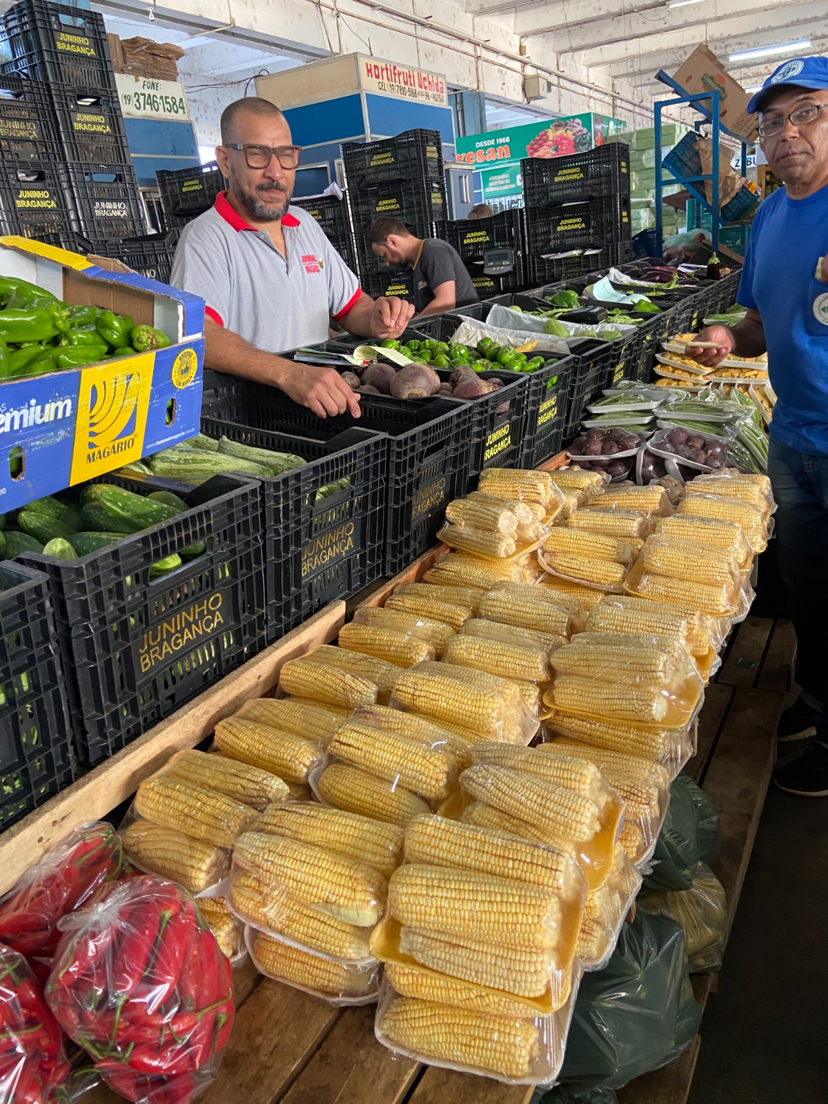 O milho verde está entre os campeões de venda nesta época de festas juninas