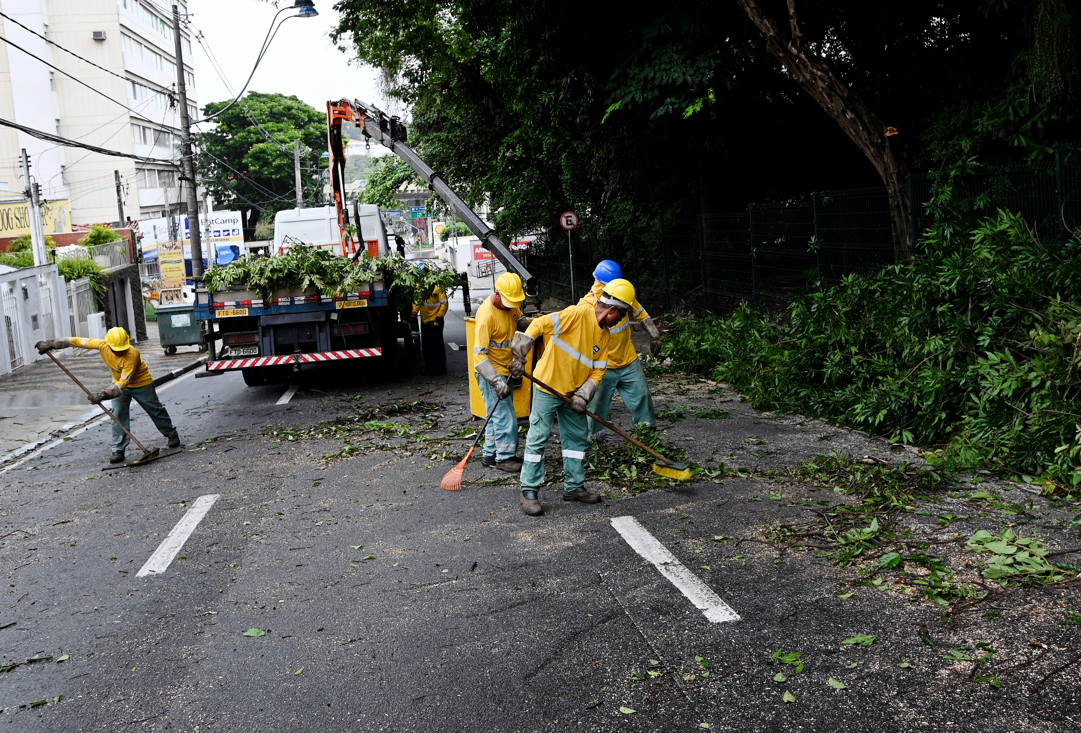 Equipes ainda trabalham para retirar árvores que caíram com chuvas