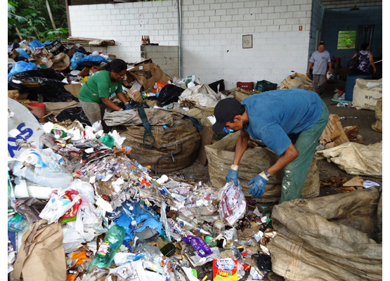 Trabalho vai da coleta...