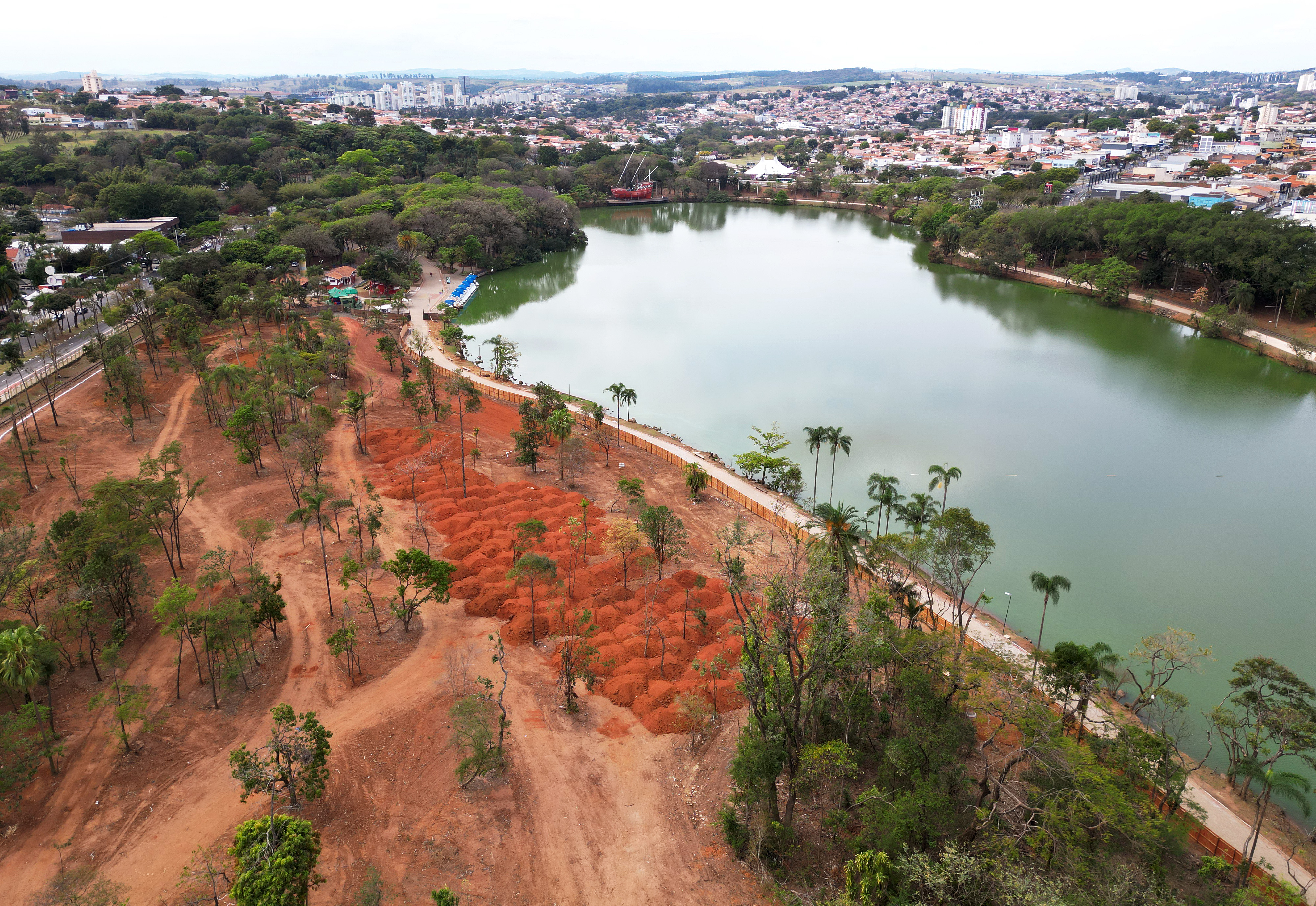 Serão 2 mil mudas de árvores nativas da Mata Atlântica