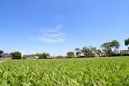 Trabalhos começam pelo campo do São Bernardo 