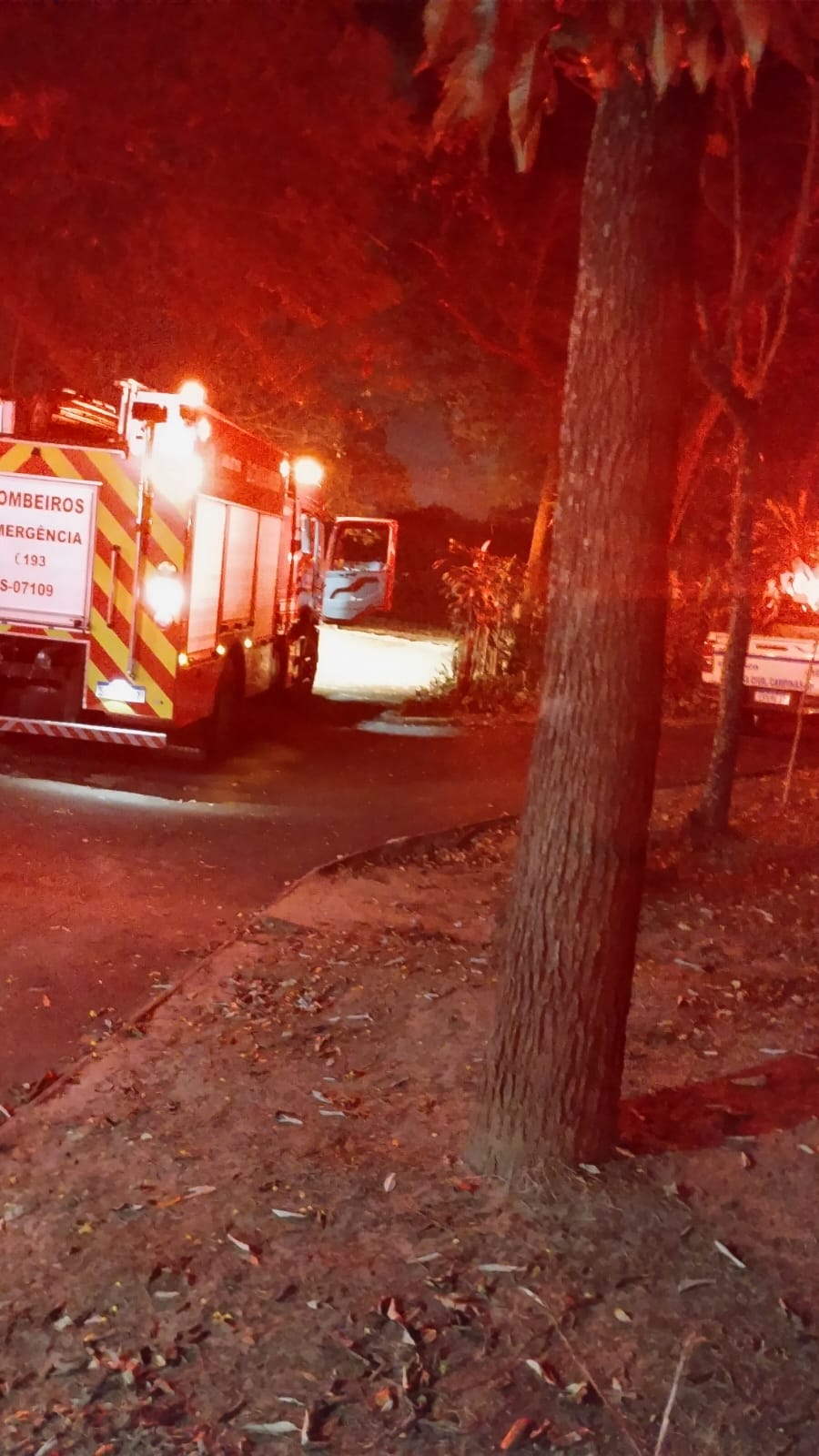 Defesa Civil, Corpo de Bombeiros e Departamento de Parques e Jardins estiveram no local na noite de ontem e o fogo foi controlado