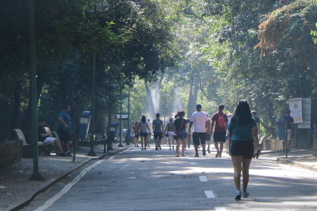 Bosque dos Jequitibás foi reaberto neste domingo, 5, após serviços de limpeza