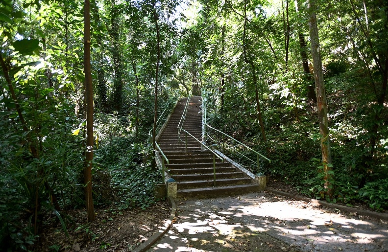 Todos bosques e parques da cidade abrem normalmente nesta quarta-feira, dia 20 de novembro