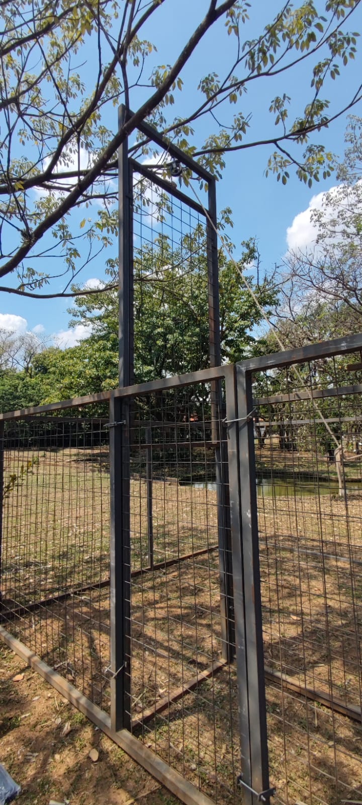 Estrutura metálica foi montada no Parque Portugal para capturar grupo de capivaras