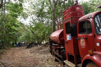 Presença dos brigadistas é essencial para o combate imediato de focos de incêndio