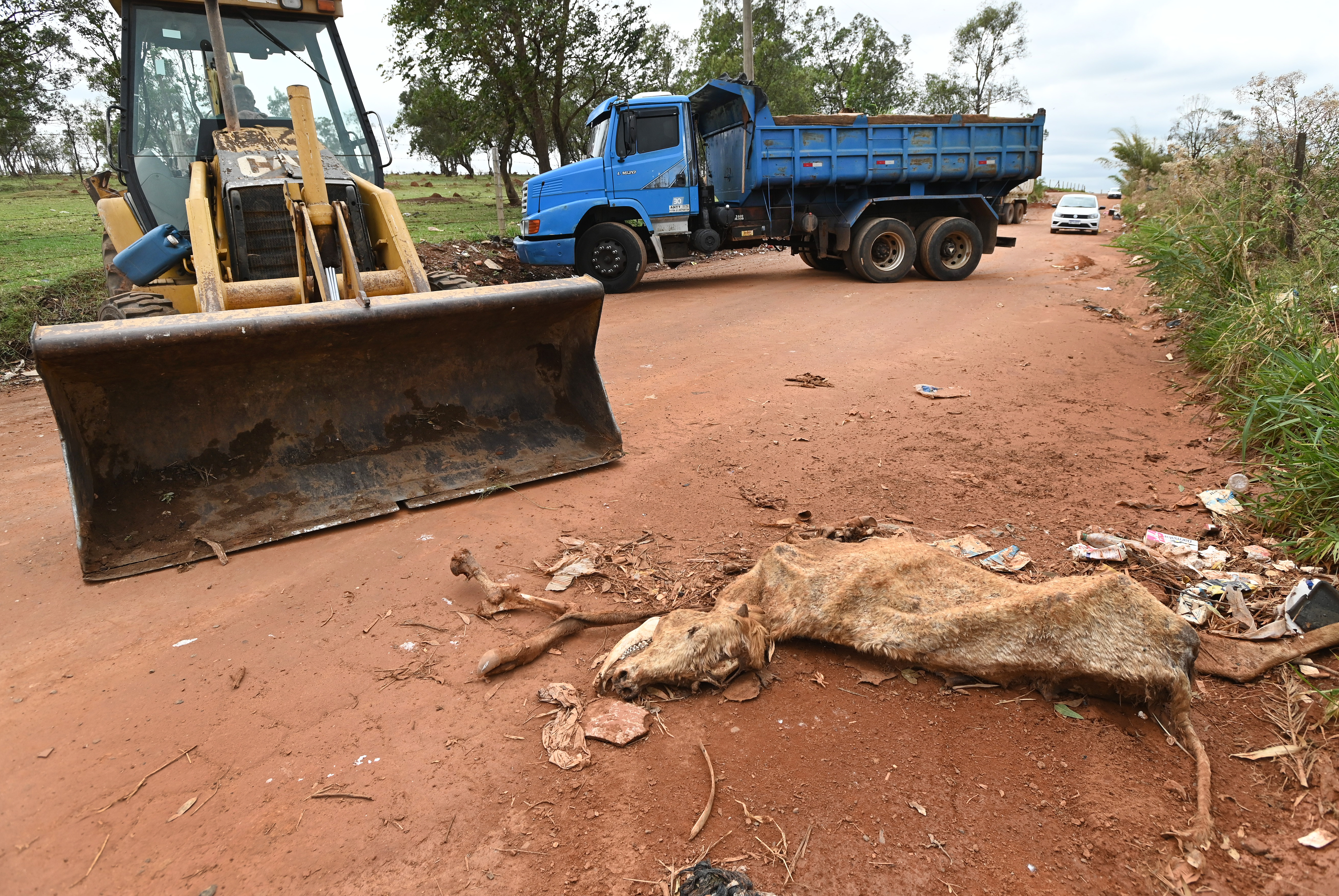 Até carcaças de animais são descartadas no local