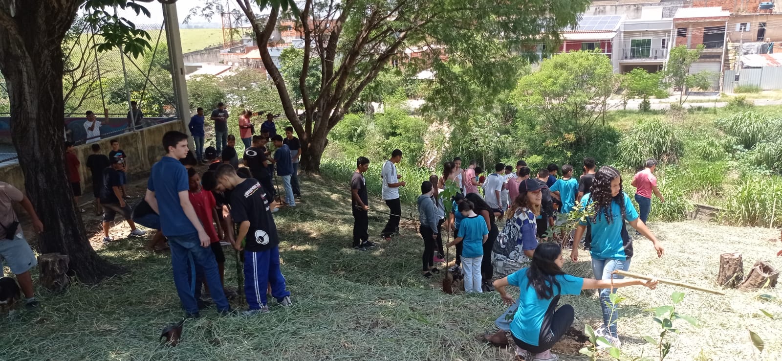 Plantio nesta terça foi realizado no Jardim Maracanã