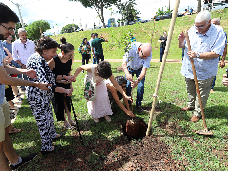 Praça recebeu  200 mudas de árvores nativas e 300 mudas de plantas ornamentais, além de iluminação em Led