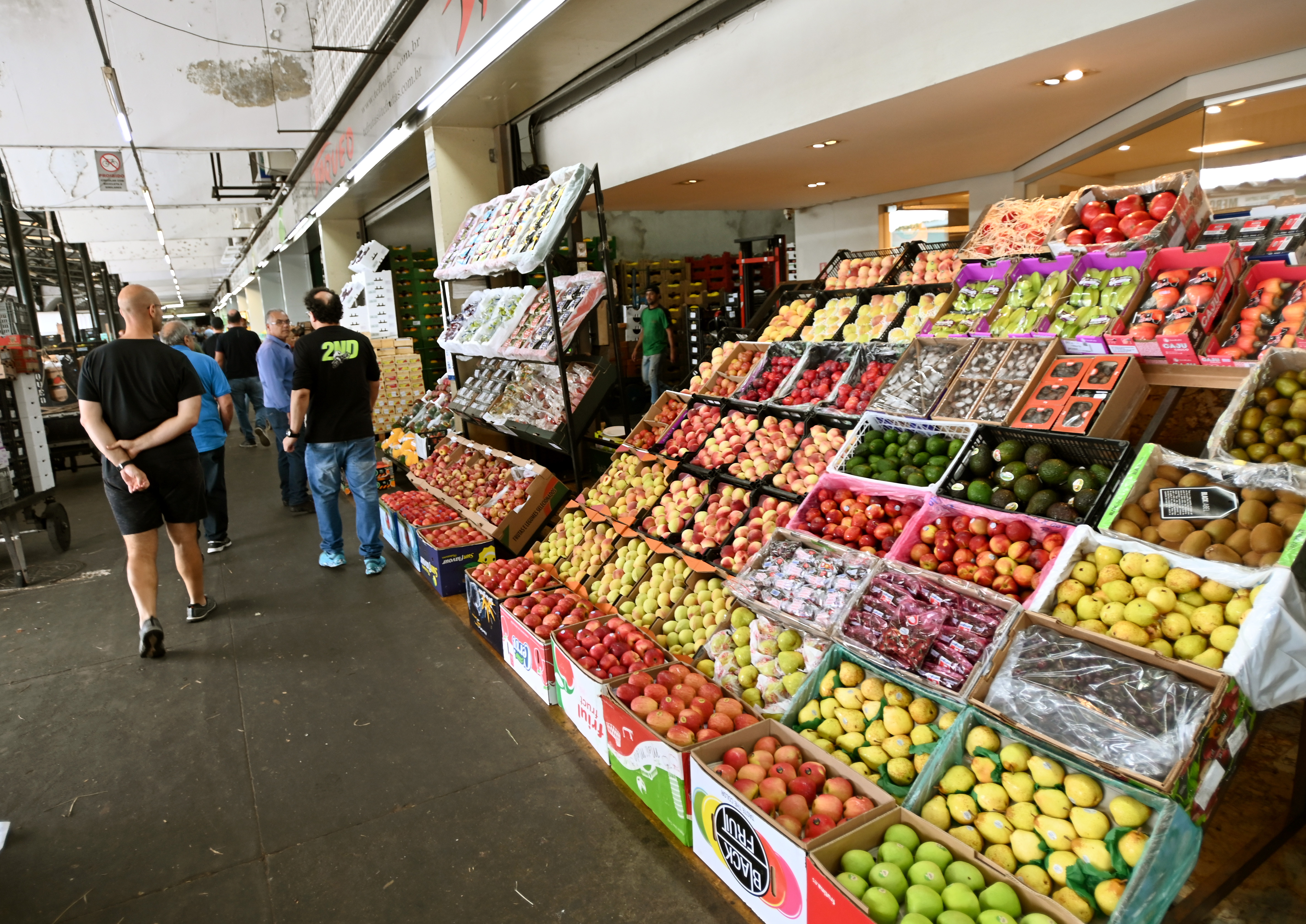 Produtores e permissionários da Ceasa Campinas doam 270 mil toneladas de alimentos por mês