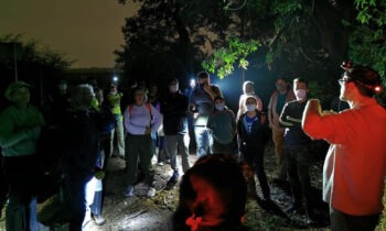 Arquivo PMC Visitantes poderão ter, também, um vislumbre dos hábitos noturnos de diferentes espécies animais